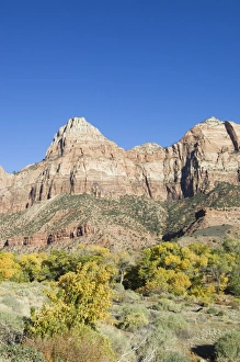 Zion National Park Photography Drucke: _TUW7115