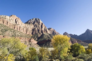 Zion National Park Images Drucke: _TUW7141