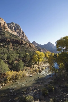 Zion National Park Photography Drucke: _TUW7155