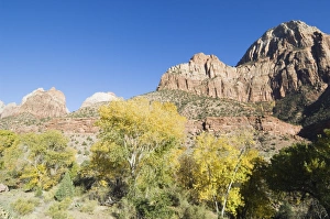 Zion National Park Photography Drucke: _TUW7162