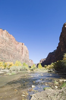 Zion National Park Photography Drucke: _TUW7224