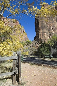 US National Parks To Visit Drucke: _TUW7258