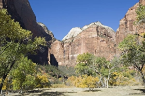 Zion National Park Photography Drucke: _TUW7279