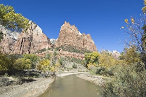Zion National Park Photography Drucke: _TUW7331