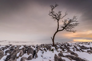 Uk Rural Scenery Drucke: Twistleton Scar End in snow, Ingleton, Yorkshire Dales, Yorkshire, England, United Kingdom