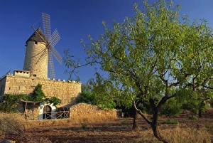 Colorful Building Exteriors Europe Drucke: Typical agricultural windmill