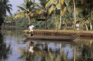 Kerala Backwaters Drucke: Typical backwater scene