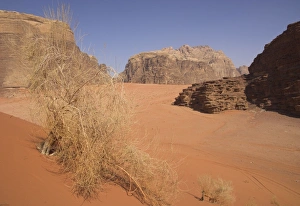 Ein typischer Wüstenstrand mit roter Sand