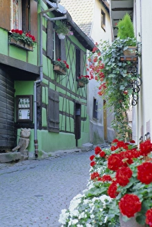 European Village Homes Drucke: Typical green timbered house and windowboxes, Riquewihr, Haut-Rhin, Alsace