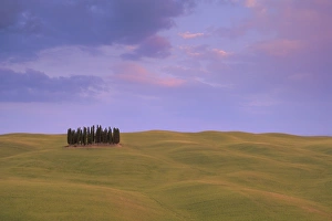 Rolling Hills Italy Drucke: Typical landscape