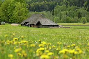 Drucke von Ein typisches lettischer Bauernhof in der Nähe von Ligatne im Gauja-Nationalpark Lettland Baltische Staaten Europa Lettland Drucke: typischer lettischer Bauernhof