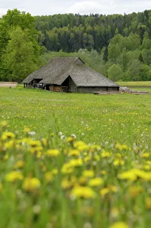 Drucke von Charakteristisches lettisches Bauernhaus in der Nähe von Ligatne im Gaujas-Nationalpark Lettland Baltische Staaten Europa Lettland Drucke: typischer lettischer Bauernhof