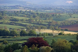 Uk Rural Scenery Drucke: Typical patchwork fields, Dorset, England, United Kingdom, Europe