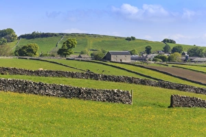 Peak District Landscape Drucke: Typical spring landscape of village, cattle, fields, dry stone walls and hills, May