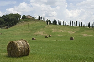 Tuscany Italy Views Drucke: Typical view of the Tuscan landscape