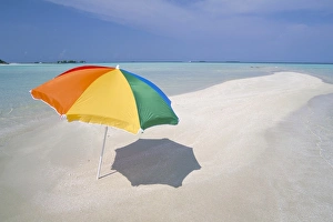 Maldives Beach Scene Drucke: Umbrella and sandbar