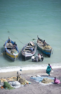 Sunny Day At The Shore Drucke: Unloading the mornings catch of fish, Dhanushkodi, Tamil Nadu, India, Asia