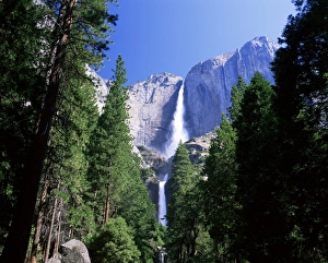 North America Nature Images Drucke: Upper and Lower Yosemite Falls