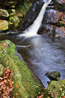 Drucke von Oberer Wasserfall am Posforth Gill in Bolton Abbey im Vereinigten Königreich Großbritannien Nordengland Yorkshire Europa Bilder Datiert 2011 November: Oberer Wasserfall am Posforth-Gill in Bolton-Abbey im Vereinigten Königreich