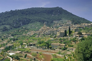 Peaceful Island Getaway Drucke: Valldemossa