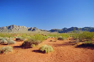 Valley Of Fire State Park Drucke: Valley of Fire State Park