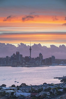 Auckland Cityscape Drucke: View of Auckland and Devonport at sunset, Auckland, North Island, New Zealand, Pacific