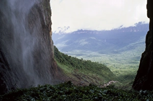 Drucke von Blick vom Fuß von Angel-Falls-Schachtel im Churum-Tal am Auyantepuï-Granit (Teufelsberg), Naturschutzgebiet Canaima-Park, Weltkulturerbe der UNESCO in Venezuela Südamerika Venezuela Kulturerbestätten Drucke: Blick vom Fuß von Angel-Falls, Churun-Granitgletscher in der Auyantepuifalze ('Teufelsberg')