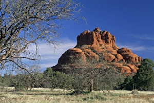 American Southwest Photography Drucke: View to Bell Rock