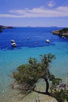 European Ocean Views Drucke: View of Cala Salada