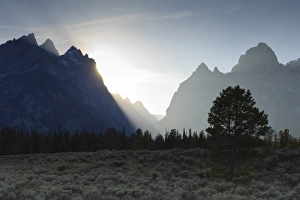 Grand Teton National Park Scenery Drucke: View down Cascade Canyon with backlit Teton Range