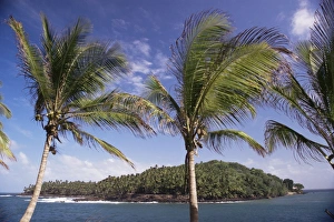 Devils Island Prison Drucke: View to Devils Island