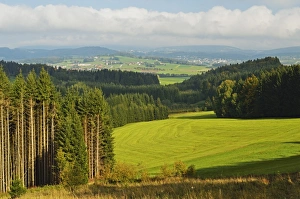 High Angle View Of Bavaria Drucke: View of forest and Breitenberg in the distance, Bavaria, Germany, Europe