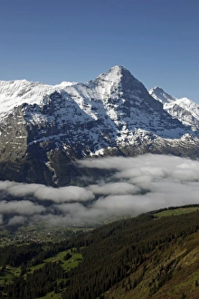Bilder Datiert 4. Juni 2010: Blick vom First von Grindelwald zu den bernischen Alpen mit dem Eiger und dem bernischen Oberland