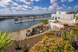 Canary Islands Coastal Scenery Drucke: View of harbour from elevated position