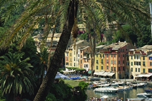 Liguria Italy Landscape Drucke: View over harbour from hillside