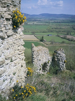 Herefordshire Castles Drucke: View from the keep, with wallflowers, Wigmore Castle, managed by English Heritage