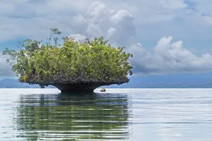 Ein Blick auf die Kalkinselben der Vegetation bedeckte Inseln von Gam-Inseln im Raja-Ampat-Raum Indonesien Südostasien Asien