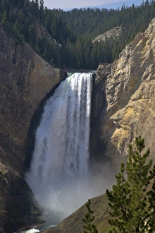 Wyoming Landscapes Drucke: View of Lower Falls from Red Rock Point