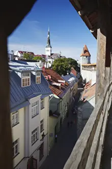 Drucke von Blick auf Niedertown von der Stadtmauer mit Olevistenkirche im Hintergrund, Tallinn, Estland. Baltische Staaten Europäisch Estland Drucke: Blick auf die Niederstadt von der Stadtmauer mit dem Oljeves Kirche im Hintergrund