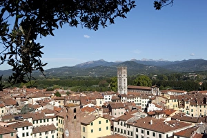Tourist Attraction In Tuscany Drucke: View of Lucca from the Giunigi Tower, Lucca, Tuscany, Italy, Europe