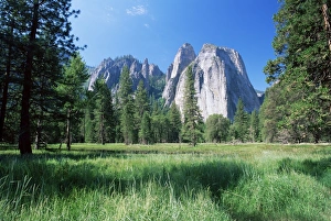 West Coast Scenic Views Drucke: View across meadows to Cathedral Rocks