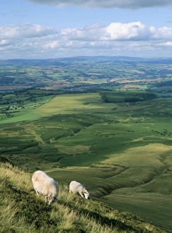 Contemporary Travel Destination Drucke: View north from Hay Bluff