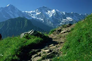 Swiss Alps Landscape Photography Drucke: View along path to snow covered summit of the Jungfrau