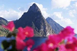 St Lucia Pitons Drucke: View of the Pitons volcanic mountains