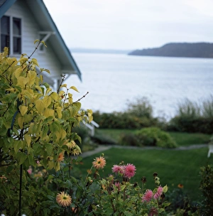 Washington State Travel Destinations Drucke: View of Puget Sound
