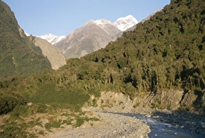 Mount Cook Landscape Drucke: View of river and forest up to peak of Mount Cook
