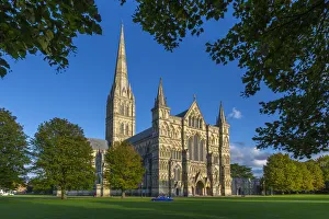 Salisbury Drucke: Blick auf die Kathedrale von Salisbury durch Bäume umgeben in der Stadt Salisbury im County Wiltshire in England