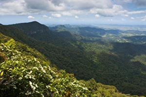 View over the Springbrook National Park, New South Wales, Australia, Pacific