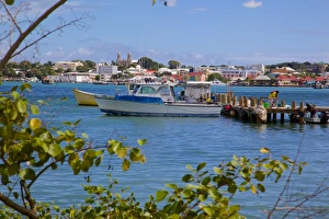 Caribbean Photography Drucke: View of St. Johns from Harbour, St