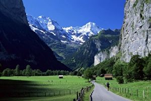 Drucke von Blick entlang der Talung zum Breithorn in Lauterbrunnen bei Bern im Schweiz Bern Drucke: Blick entlang der Talung zum Breithorn